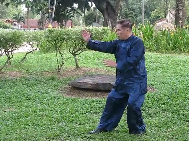 Wu Yu Xiang Style Taijiquan